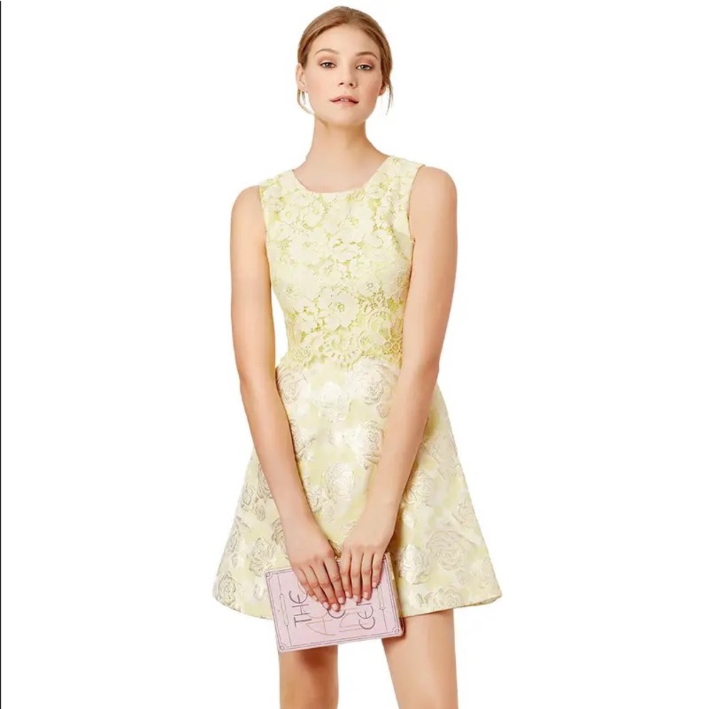 Erin by Erin Fetherston buttercup dress